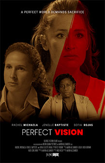 Perfect Vision poster